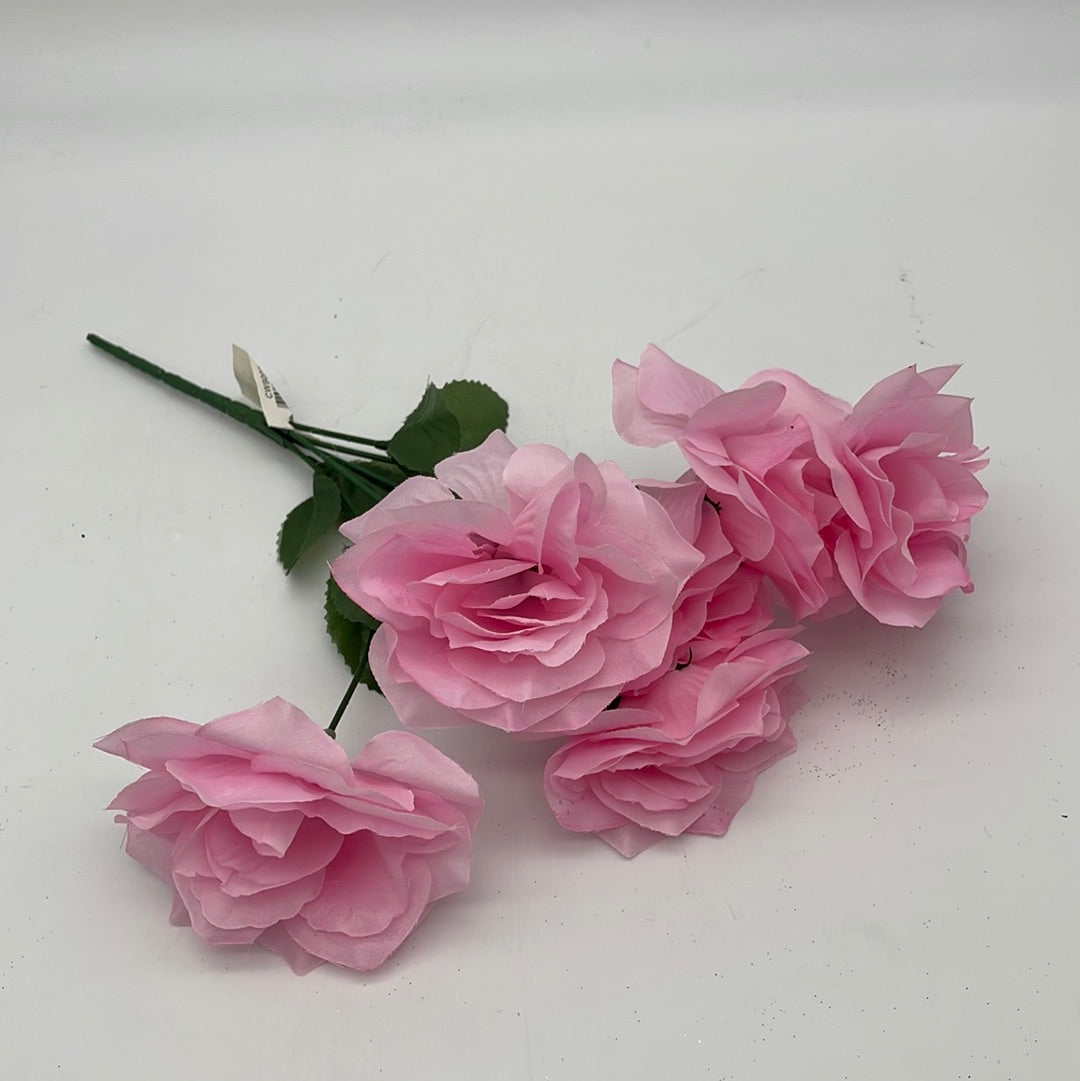 CW9005PK ROSE BUSH X 6 (32dz) CK TRADING